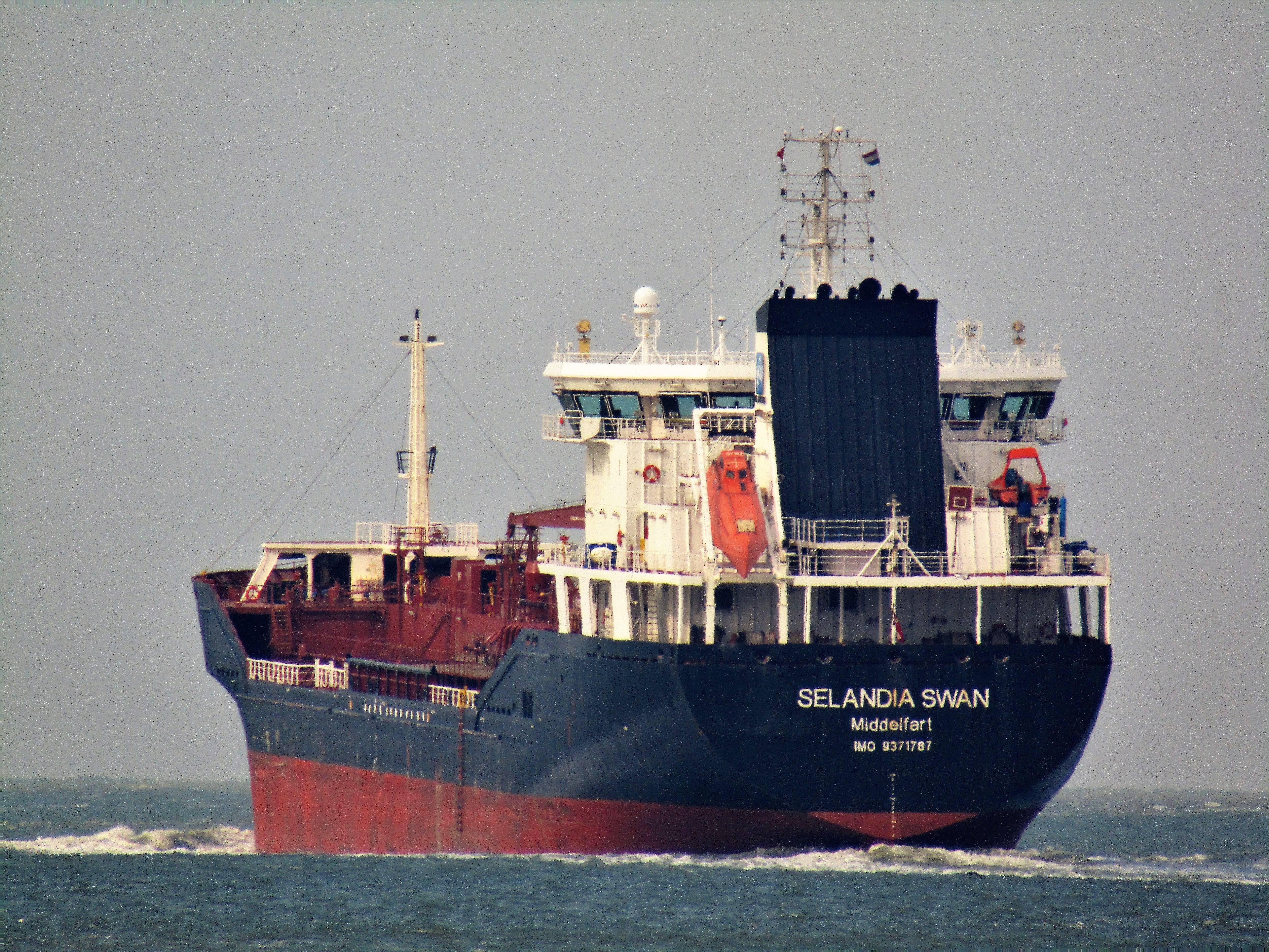 SELANDIA SWAN 